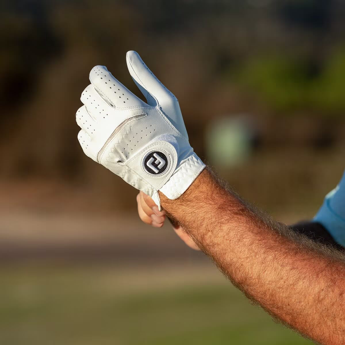 Gloves