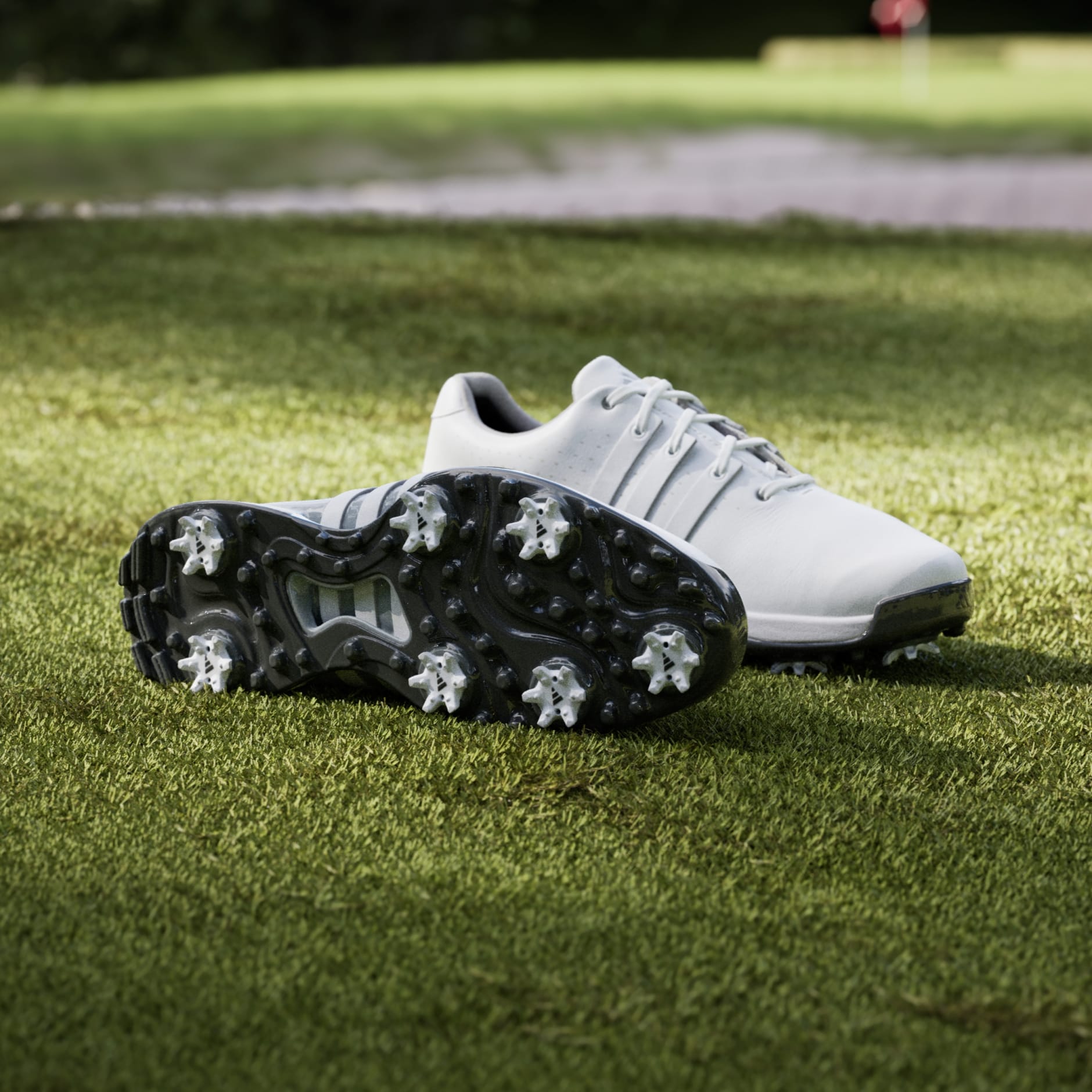 Adidas Men's Golf Shoes | Tour 360 24 | White